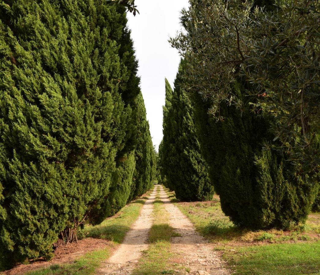 Chateau Saint-Esprit Bed & Breakfast Draguignan Eksteriør bilde